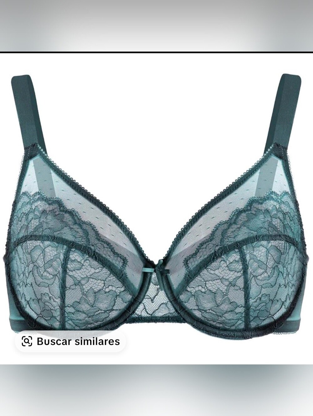 HSIA Sheer Floral Lace Underwire Bra in Teal-Size 42G